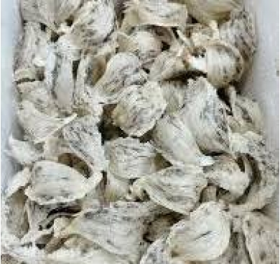 yến thô 10g 